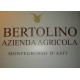 Bertolino